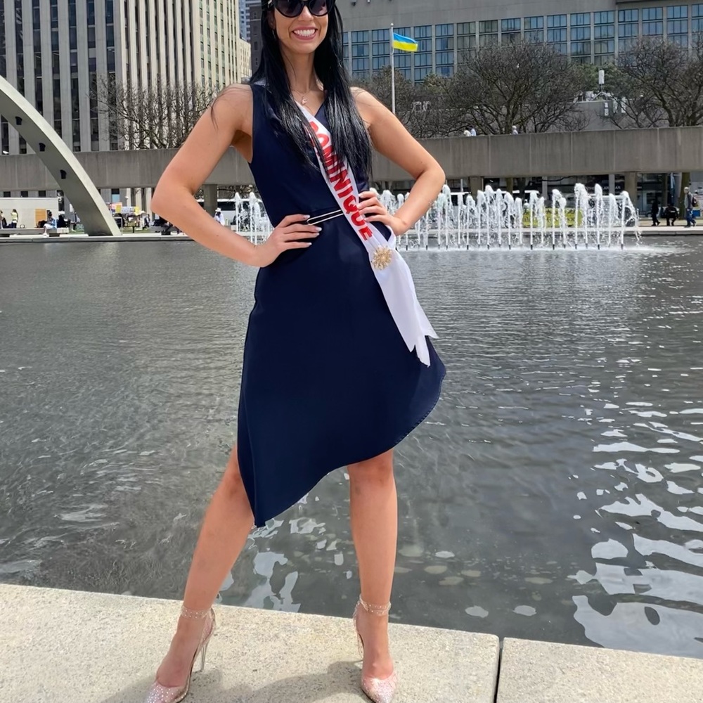 Navy Dress